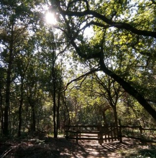 Wanneer start de opleiding in Belgi&euml;?