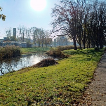 Wanneer start de opleiding in Nederland?