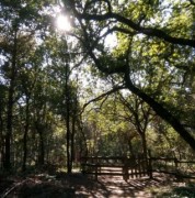 Wanneer start de opleiding in België?